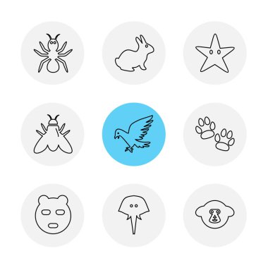 minimalist düz vektör app simgeleri beyaz arka plan üzerinde