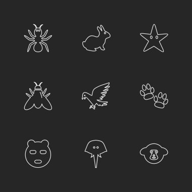 siyah arka plan üzerine minimalist düz app simgeleri