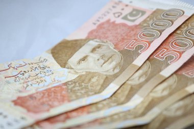 5000 rupi Pakistan para birimi Not
