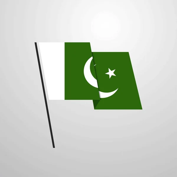 Pakistan Vlag Pictogram Vectorillustratie — Stockvector