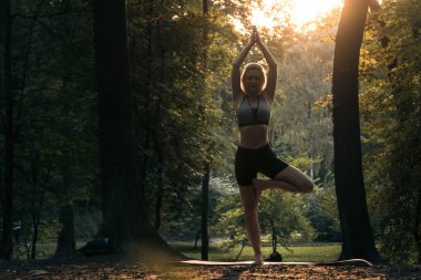 yeşil parkta Ashtanga Yoga pratik genç güzel kadın;