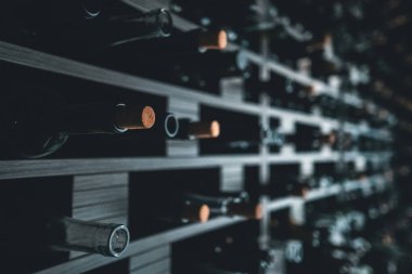 şarap şişeleri modern dekorasyon ile duvar; 