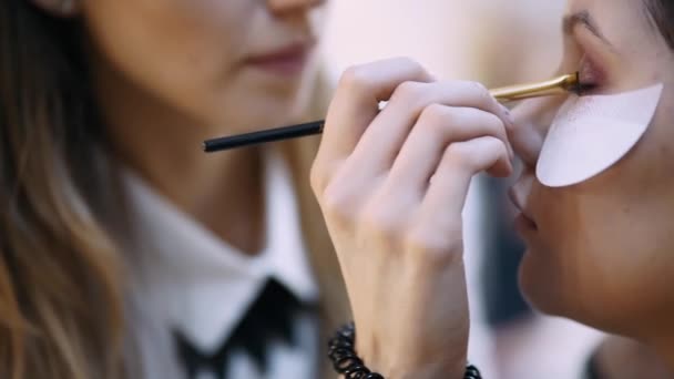 Visagist doen make-up met professionele cosmetica en borstels — Stockvideo