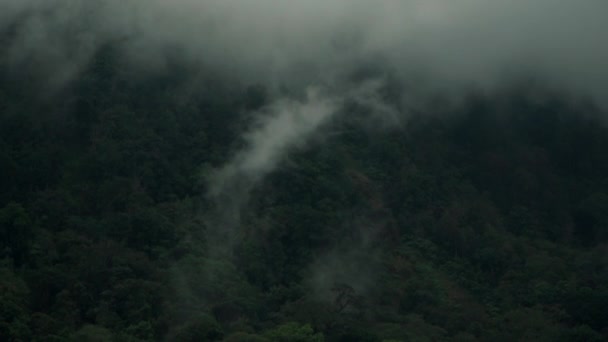 Escena de selva tropical y montañas en la niebla después de la lluvia — Vídeos de Stock