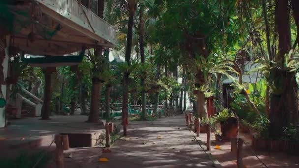 バリ島の熱帯のヤシの木の間の空のホテルの着実なショット — ストック動画