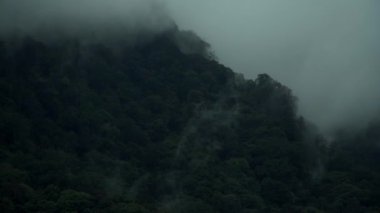 Yağmurdan sonra sisli tropik yağmur ormanları ve dağların manzarası