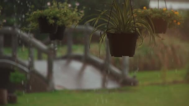 Langzame beweging van zware tropische regendruppels op groene plantenpotten — Stockvideo