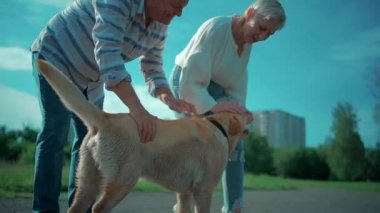 Mutlu yaşlı çift güneşli yaz parkında Labrador emekli köpeğiyle oynuyor.