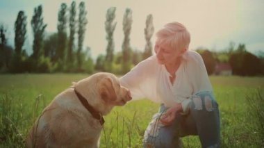 Mutlu yaşlı çift güneşli yaz parkında Labrador emekli köpeğiyle oynuyor.