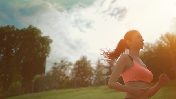 Atletische vrouwelijke loper training buiten in zonnige zomerochtend in park — Stockvideo