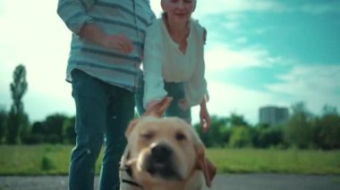 Mutlu yaşlı çift güneşli yaz parkında Labrador Retriever köpeğiyle oynuyor.