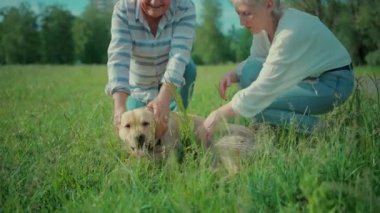 Mutlu yaşlı çift güneşli yaz parkında Labrador Retriever köpeğiyle oynuyor.