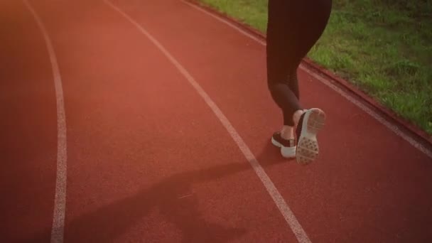 Rear view of athletic woman running on track stadium at summer — Stock Video