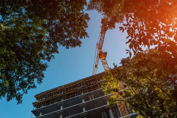 Travaux de grue de construction moderne sur place et construire gratte-ciel en plein air forêt — Photo