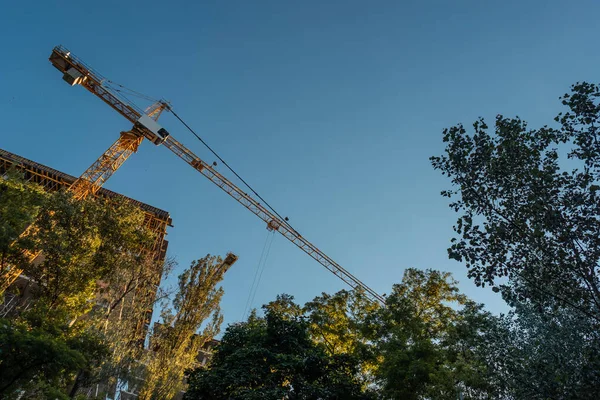 Moderní stavební jeřáb práce na místě a stavět mrakodrap v lese venkovní — Stock fotografie