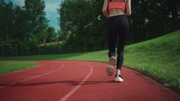 Vista trasera de la mujer atlética corriendo en el estadio de pista en verano — Vídeos de Stock