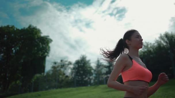 Atlético corredor femenino entrenamiento al aire libre en la soleada mañana de verano en el parque — Vídeo de stock