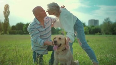 Mutlu yaşlı çift güneşli yaz parkında Labrador Retriever köpeğiyle oynuyor.