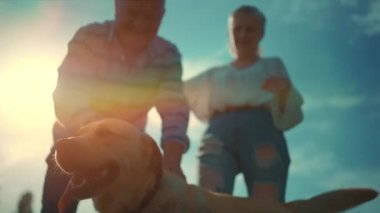 Mutlu yaşlı çift güneşli yaz parkında Labrador Retriever köpeğiyle oynuyor.