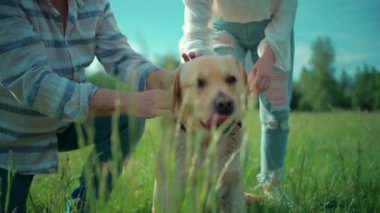 Mutlu yaşlı çift güneşli yaz parkında Labrador Retriever köpeğiyle oynuyor.