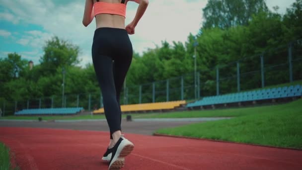 Zadní pohled na atletickou ženu běžící na stadionu v létě — Stock video