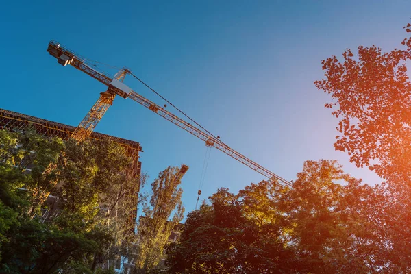 Moderní stavební jeřáb práce na místě a stavět mrakodrap v lese venkovní — Stock fotografie