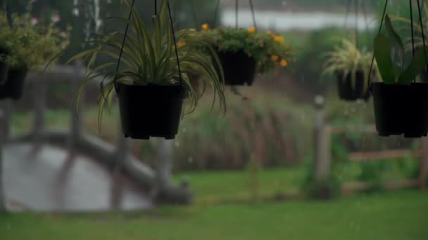Langzame beweging van zware tropische regendruppels op groene plantenpotten — Stockvideo