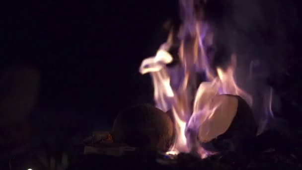 Puja oder Yajna Zeremonie in Indien und hinduistisches traditionelles heiliges Ritual — Stockvideo