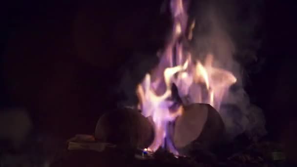 Ceremonia de puja o yajna en la India y ritual sagrado tradicional hindú — Vídeo de stock