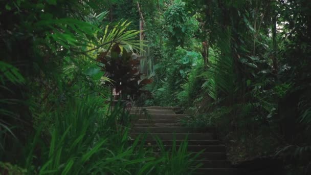 Antiguos escalones de piedra en la selva en indonesia backround — Vídeos de Stock