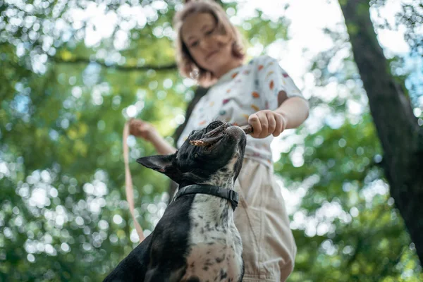 Девочка играет с милым маленьким французским щенком бульдог в парке в летний день — стоковое фото