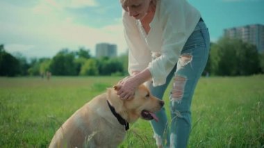 Mutlu yaşlı kadın güneşli yaz parkında Labrador Retriever köpeğiyle oynuyor.
