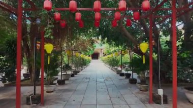 Asya parkında fenerlerin ve çiçek açan sakuraların olduğu dar bir sokak. Kiraz çiçekleri ve yumuşak gece ışıkları olan bir patika. 4k. Yüksek kaliteli görüntüler