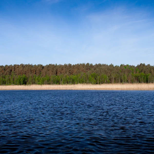 Tři Čáry Obloha Voda Fores — Stock fotografie