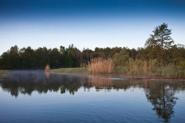 Zonsopgang Rivier Rusland Regio Yaroslavl Rivier Nerl Rivier Banken Begroeid — Stockfoto