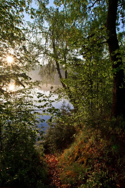 Amanhecer Lago Sol Brilhante Brilha Através Folhagem Das Árvores Costeiras — Fotografia de Stock