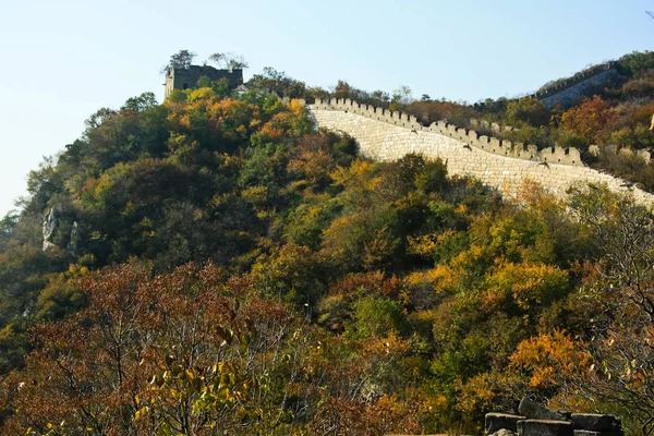 Стена Утесе Башни Стены Великой Китайской Стены Густом Осеннем Лесу — стоковое фото