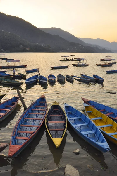 Tekneler ve altın su. İyi akşamlar, Himalayalar, Nepal, Lake Feva eteklerinde