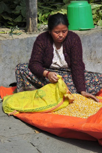Mujer Campesina Nepalí Clasifica Grano — Foto de Stock