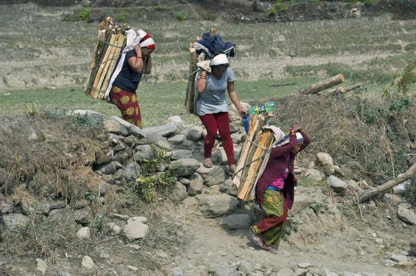 Trabajo Duro Los Campesinos Nepaleses Las Mujeres Llevan Leña — Foto de Stock