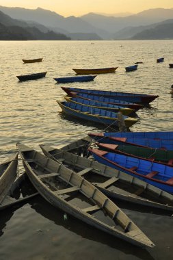 Tekneler ve altın wate