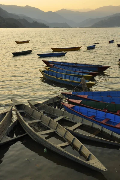 Tekneler ve altın wate