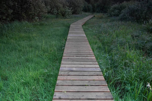 Puente de madera sobre la hierba verde — Foto de Stock