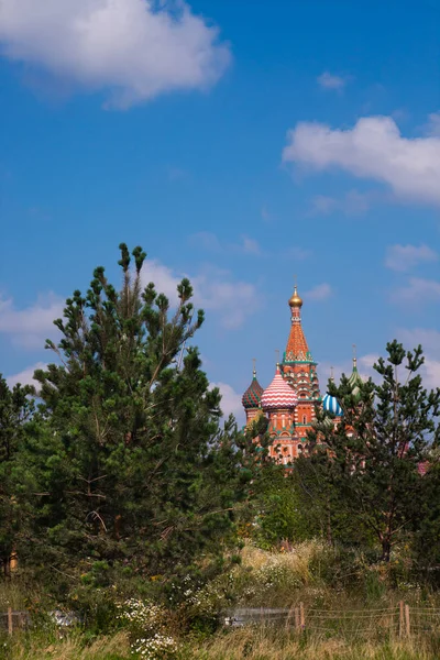 Basilikum Kathedrale Und Kiefern Landschaft Mit Den Symbolen Russlands Der — Stockfoto