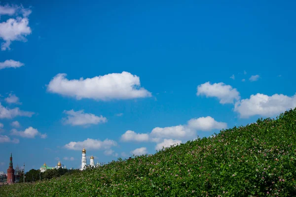 Ivan Grande Bell Tower Inclinação Ângulo Coberto Com Grama Verde — Fotografia de Stock