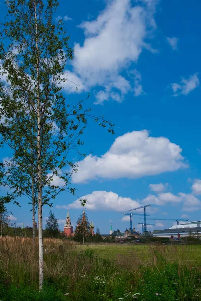 Kremlin Moscou Guindastes Construção Lado Prado Verde Uma Árvore Vidoeiro — Fotografia de Stock