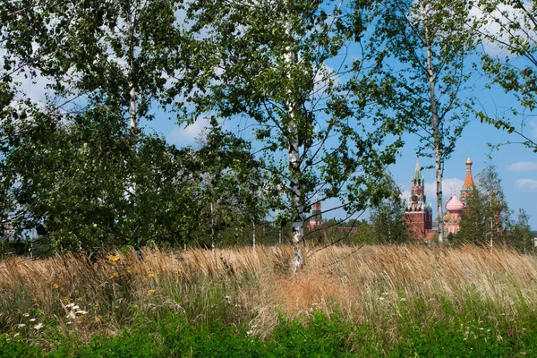 Καθεδρικός Ναός Αγίου Βασιλείου Spasskaya Πύργο Πίσω Από Τις Σημύδες — Φωτογραφία Αρχείου