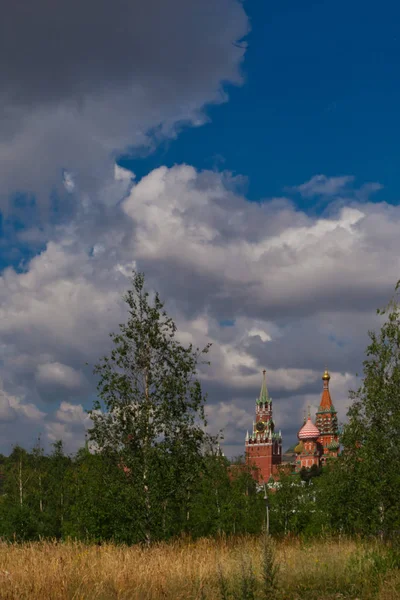 Σημύδες Και Ελπίδα Κρεμλίνο Της Μόσχας Κάτω Από Θολό Ουρανό — Φωτογραφία Αρχείου