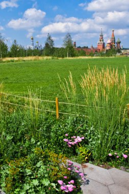 Yeşil Moskova. Moskova Kremlin yeşil alan ve derviş ağaç arka planı mavi gökyüzünün altında. Moskova Parkı Zaryadye