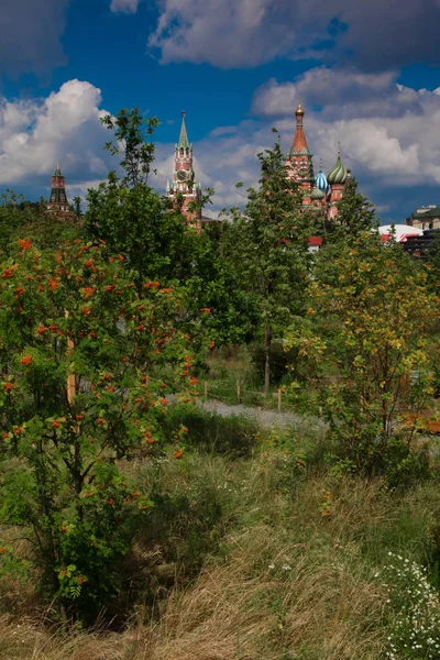 Rote Beeren Der Eberesche Moskau Der Moskauer Kreml Ist Zwischen — Stockfoto